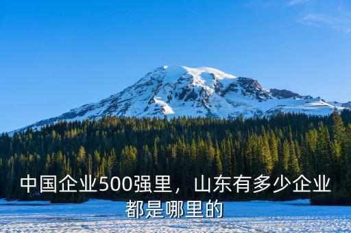 中國百強企業山東多少家,中國企業500強里