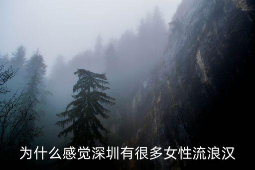 為什么感覺深圳有很多女性流浪漢