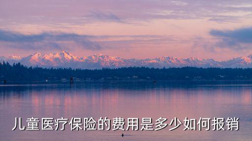 紹興市少兒醫保保費是多少,兒童醫療保險的費用是多少