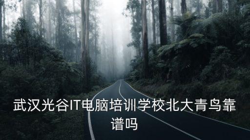 北大青島武漢光谷學(xué)校學(xué)費多少,武漢北大青鳥學(xué)費是多少
