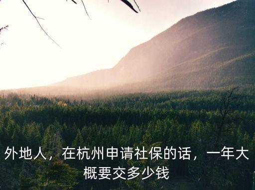 杭州一年醫保多少,在杭州申請社保的話