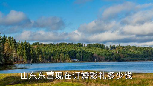 山東東營現在訂婚彩禮多少錢