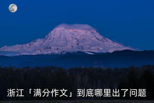 浙江「滿分作文」到底哪里出了問題