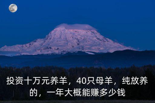 湛江黑羊多少錢一只,一年大概能賺多少錢