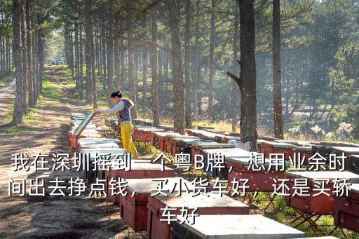 租一個深圳牌要多少錢,我在深圳搖到一個粵B牌