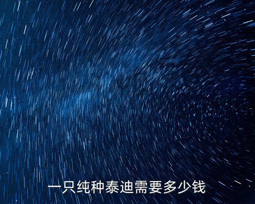 一只純種泰迪需要多少錢