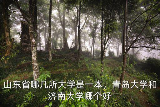濟(jì)南大學(xué)一共多少學(xué)生,青島大學(xué)和濟(jì)南大學(xué)哪個(gè)好