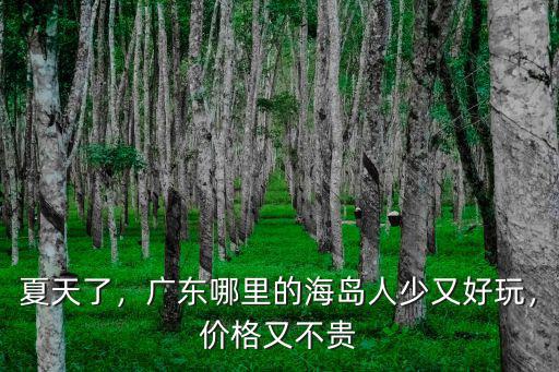 廣東海島有多少人,廣東哪里有好玩的海島