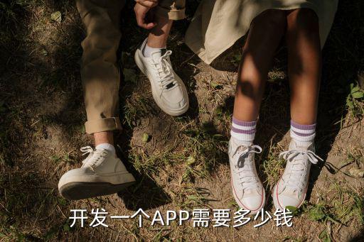 麗水軟件開發多少錢,找人開發軟件大概多少錢