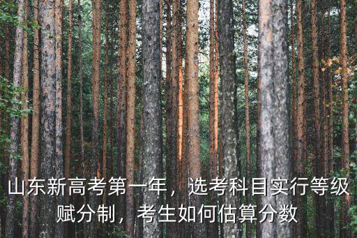 山東新高考各科分數滿分多少,山東新高考第一年