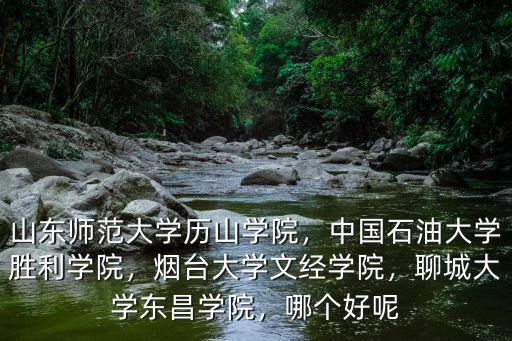 聊城大學東昌學院理科學費多少,煙臺大學文經學院