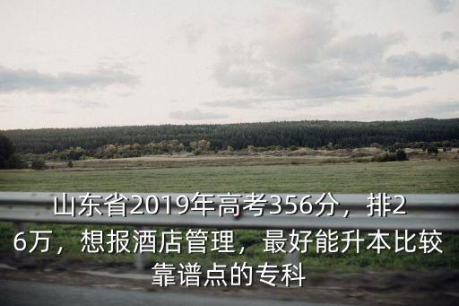 山東省2019年高考356分，排26萬，想報酒店管理，最好能升本比較靠譜點的專科