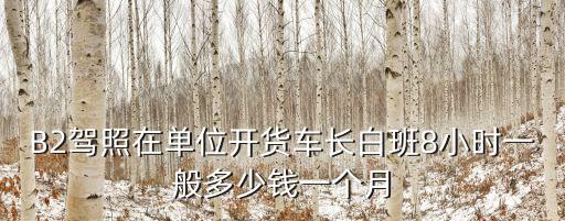 B2駕照在單位開貨車長白班8小時一般多少錢一個月