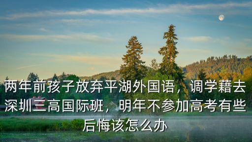 兩年前孩子放棄平湖外國語，調(diào)學(xué)藉去深圳三高國際班，明年不參加高考有些后悔該怎么辦