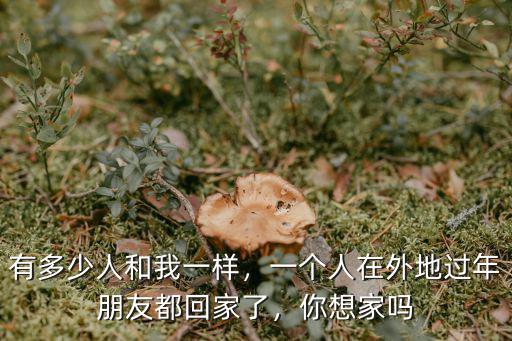 有多少人和我一樣，一個人在外地過年朋友都回家了，你想家嗎