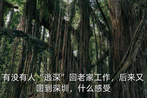 有多少人從深圳灣回深圳,有沒有人逃深回老家工作