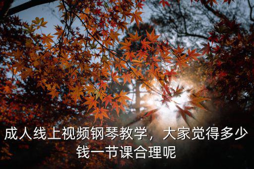 成人線上視頻鋼琴教學，大家覺得多少錢一節課合理呢