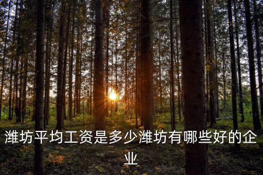 濰坊平均工資是多少濰坊有哪些好的企業