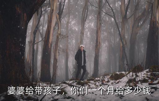 濟南找人帶孩子多少錢一個月,你們一個月給多少錢