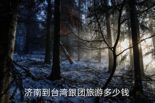 濟南私人包機旅游多少錢,濟南到臺灣跟團旅游多少錢