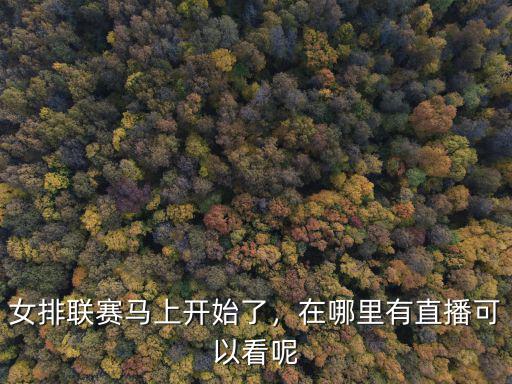 女排聯賽馬上開始了，在哪里有直播可以看呢