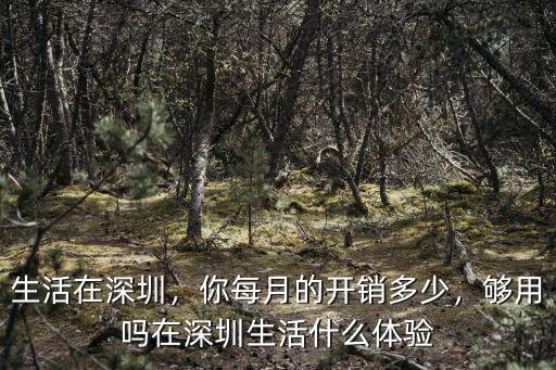 在深圳打工的你一天消費多少,在北上廣深工作的你