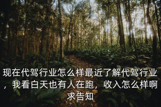 在珠海跑代駕怎么樣,現(xiàn)在代駕行業(yè)怎么樣