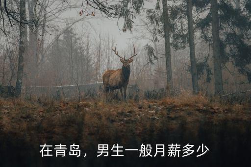 青島個人收入是多少,青島的平均工資是多少