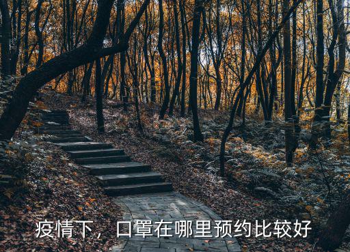 疫情下，口罩在哪里預約比較好