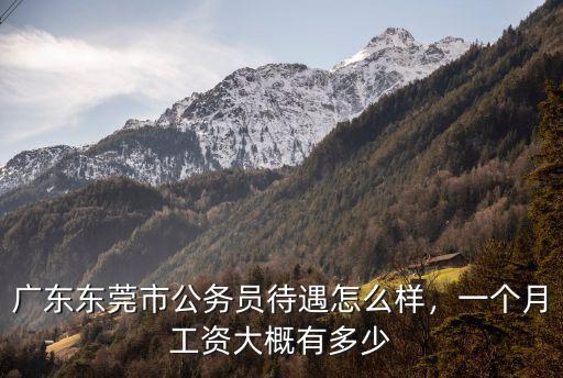 廣東東莞市公務員待遇怎么樣，一個月工資大概有多少