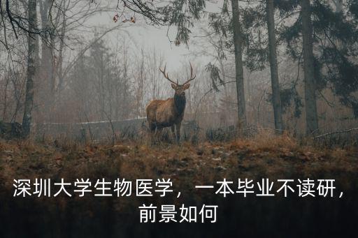 深圳大學生物醫學工程怎么樣,中山大學生物醫學工程怎么樣