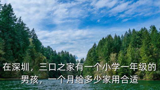 在深圳，三口之家有一個小學一年級的男孩，一個月給多少家用合適