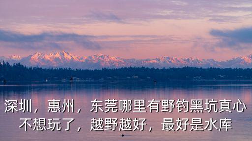 深圳，惠州，東莞哪里有野釣黑坑真心不想玩了，越野越好，最好是水庫