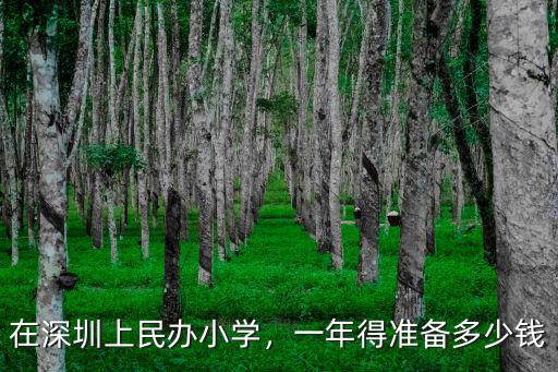 在深圳上民辦小學，一年得準備多少錢