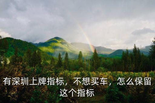 深圳得到增量指標后怎么算,有深圳上牌指標