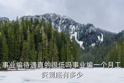 威海事業(yè)單位工資有多少錢(qián),事業(yè)編一個(gè)月工資到底有多少