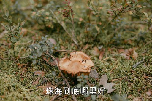 珠海哪里有好易,在珠海哪里買房好