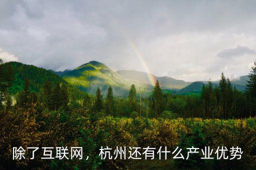 除了互聯網，杭州還有什么產業優勢