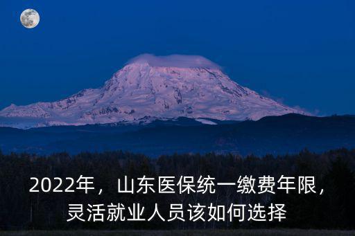 山東靈活就業繳費多少,山東醫保統一繳費年限