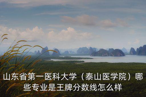 山東省第一醫(yī)科大學(xué)（泰山醫(yī)學(xué)院）哪些專業(yè)是王牌分?jǐn)?shù)線怎么樣