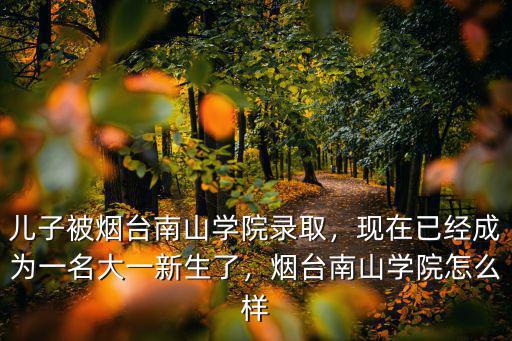 煙臺南山學院實習多少學分,煙臺南山學院怎么樣