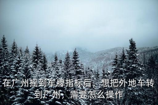 廣州多少人搖指標,廣州小汽車牌搖號