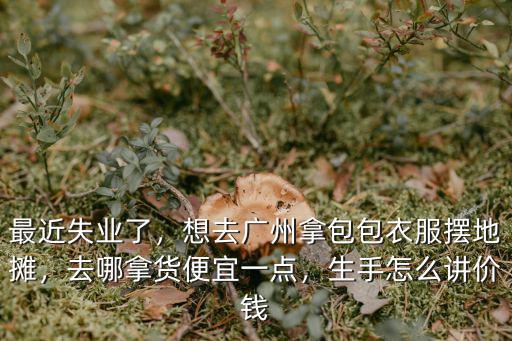 最近失業了，想去廣州拿包包衣服擺地攤，去哪拿貨便宜一點，生手怎么講價錢