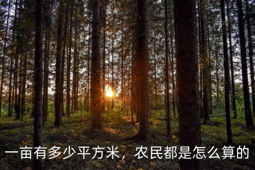 廣東一畝多少平方公里,一畝有多少平方米