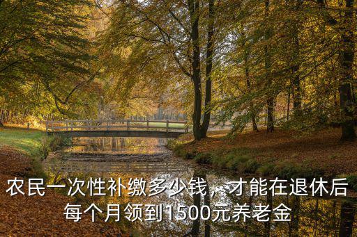 農民一次性補繳多少錢，才能在退休后每個月領到1500元養老金
