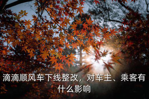 滴滴順風順水武義到寧波多少錢,滴滴順風車下線整改