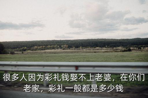 很多人因為彩禮錢娶不上老婆，在你們老家，彩禮一般都是多少錢