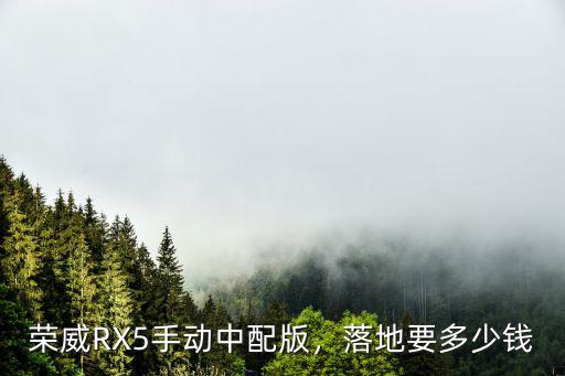 汕頭榮威rx 5落地多少錢,榮威RX5手動(dòng)中配版