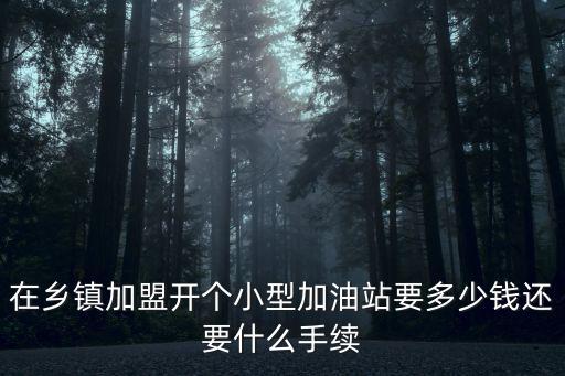在鄉鎮加盟開個小型加油站要多少錢還要什么手續