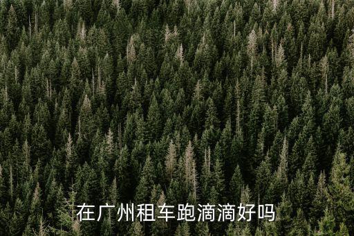 在廣州租車跑滴滴好嗎